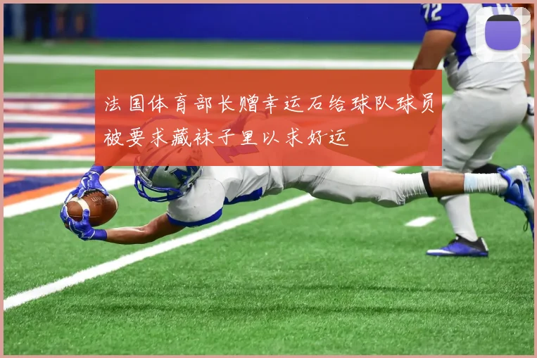 法国体育部长赠幸运石给球队球员被要求藏袜子里以求好运