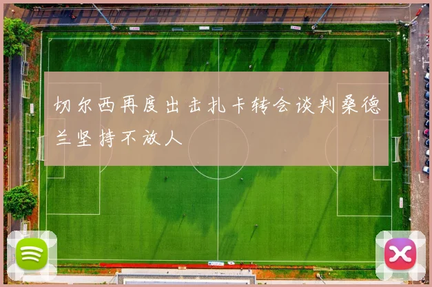 切尔西再度出击扎卡转会谈判桑德兰坚持不放人