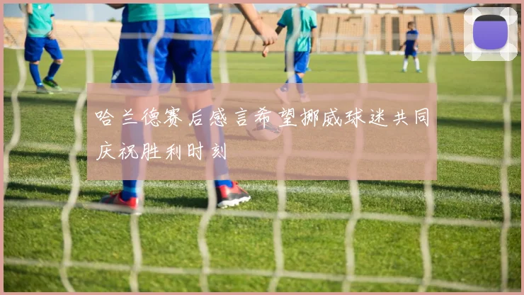 哈兰德赛后感言希望挪威球迷共同庆祝胜利时刻